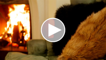 Cozy Up Your Home For Fall (VIDEO)