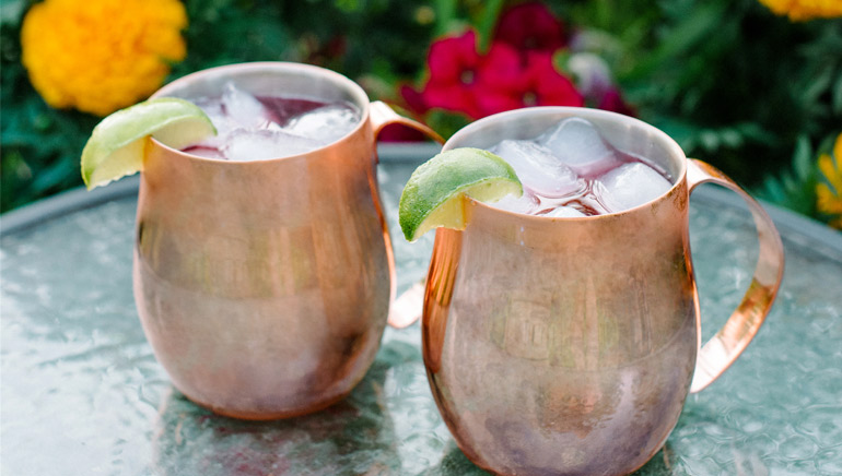 Moscow Mule aux canneberges