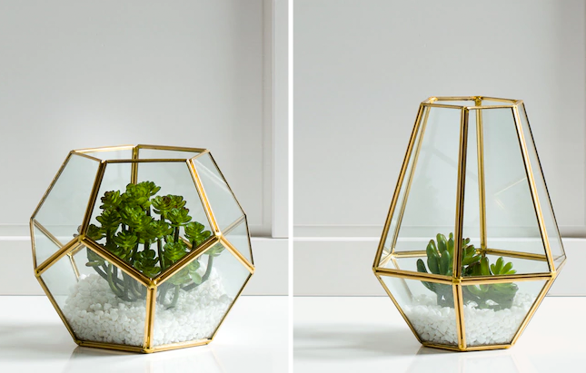Treat Mom to a Terrarium This Mother’s Day